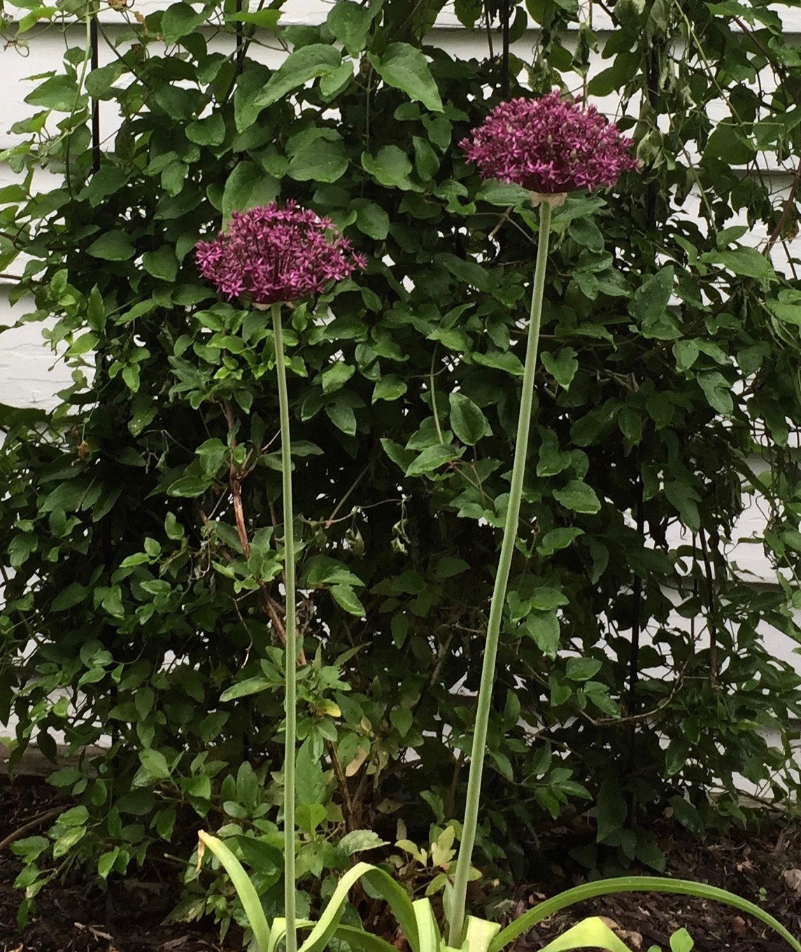 A history of&nbsp;compromise