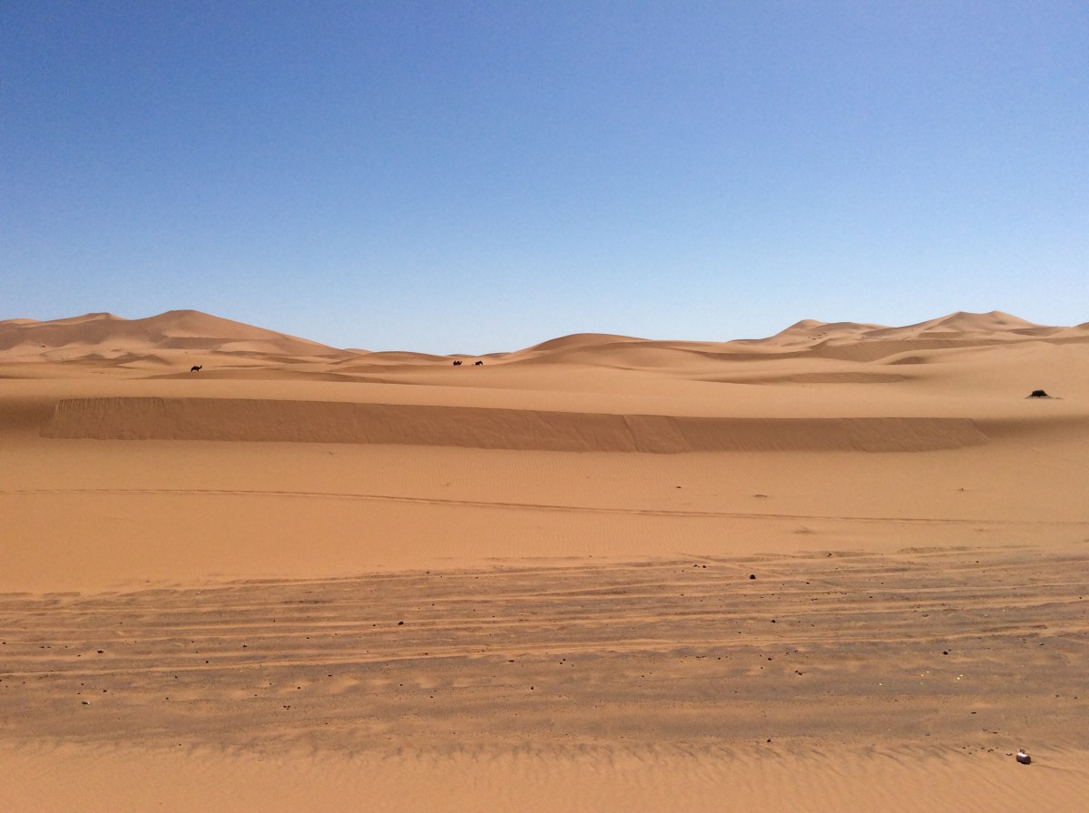 I prefer a dry&nbsp;heat